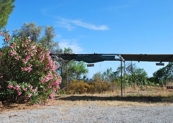 Grotta Azzurra - Cavoli - Terrazza Vista Mare, Clima E Parcheggio San Piero in Campo (Isola d'Elba)